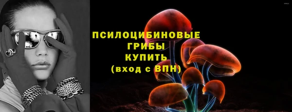 спайс Магас
