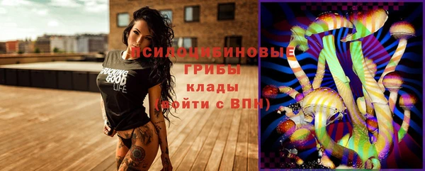 мяу мяу мука Майский