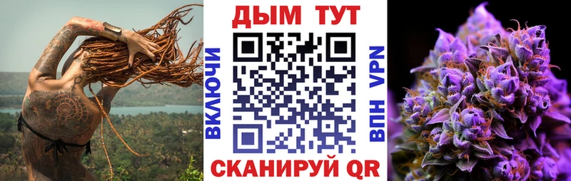 Купить  Тамбов  Каннабис индика 